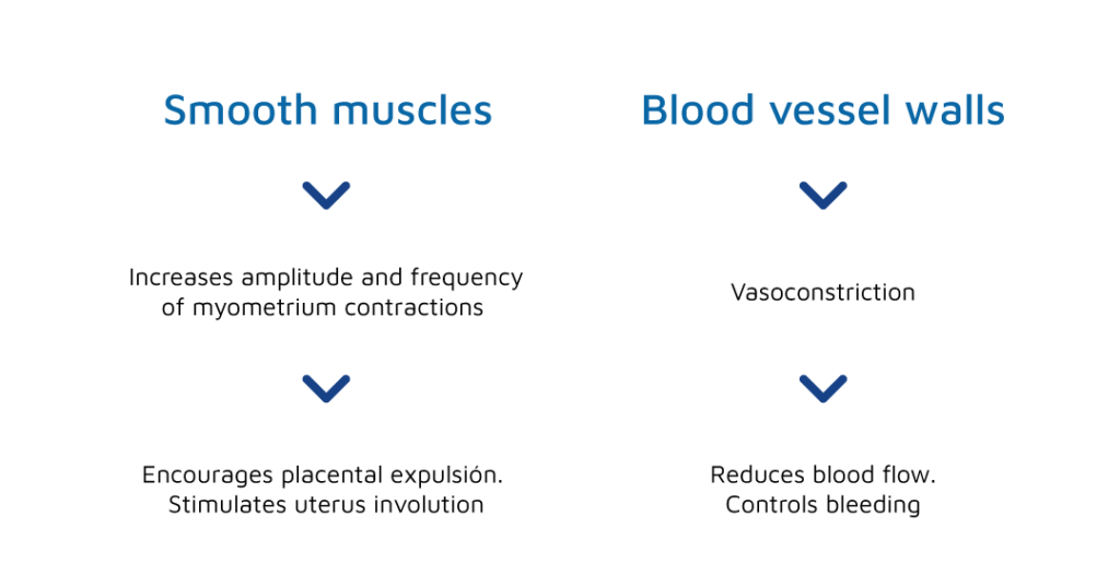 HEMOGEN - Uterotonic for uterine metritis in cattle